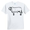 Youth Ultra Cotton ® 100% Cotton T Shirt Thumbnail