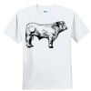 Youth Ultra Cotton ® 100% Cotton T Shirt Thumbnail