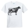Youth Ultra Cotton ® 100% Cotton T Shirt Thumbnail