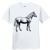 Youth Ultra Cotton ® 100% Cotton T Shirt Thumbnail