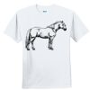 Youth Ultra Cotton ® 100% Cotton T Shirt Thumbnail