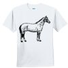 Youth Ultra Cotton ® 100% Cotton T Shirt Thumbnail