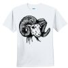 Youth Ultra Cotton ® 100% Cotton T Shirt Thumbnail