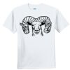 Youth Ultra Cotton ® 100% Cotton T Shirt Thumbnail