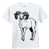 Youth Ultra Cotton ® 100% Cotton T Shirt Thumbnail