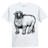 Youth Ultra Cotton ® 100% Cotton T Shirt Thumbnail
