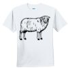 Youth Ultra Cotton ® 100% Cotton T Shirt Thumbnail