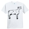 Youth Ultra Cotton ® 100% Cotton T Shirt Thumbnail