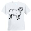 Youth Ultra Cotton ® 100% Cotton T Shirt Thumbnail