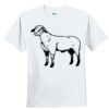 Youth Ultra Cotton ® 100% Cotton T Shirt Thumbnail