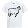 Youth Ultra Cotton ® 100% Cotton T Shirt Thumbnail