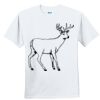 Youth Ultra Cotton ® 100% Cotton T Shirt Thumbnail