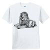 Youth Ultra Cotton ® 100% Cotton T Shirt Thumbnail
