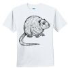 Youth Ultra Cotton ® 100% Cotton T Shirt Thumbnail