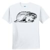Youth Ultra Cotton ® 100% Cotton T Shirt Thumbnail