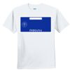Youth Ultra Cotton ® 100% Cotton T Shirt Thumbnail