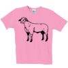 Ladies ComfortSoft ® Crewneck T Shirt Thumbnail