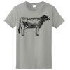 Ladies Ultra Cotton ® 100% Cotton T Shirt Thumbnail