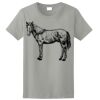 Ladies Ultra Cotton ® 100% Cotton T Shirt Thumbnail