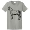 Ladies Ultra Cotton ® 100% Cotton T Shirt Thumbnail