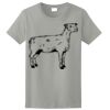 Ladies Ultra Cotton ® 100% Cotton T Shirt Thumbnail