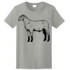 Ladies Ultra Cotton ® 100% Cotton T Shirt Thumbnail