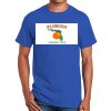 NEW Ultra Cotton ® 100% Cotton T Shirt Thumbnail