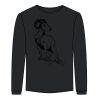 Ultra Cotton™ 100% Cotton Long Sleeve T Shirt Thumbnail