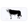 Personalized 3 X 6 Heavy Duty Acrylic / Plastic License Plate Thumbnail