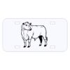 Personalized 3 X 6 Heavy Duty Acrylic / Plastic License Plate Thumbnail