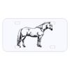 Personalized 3 X 6 Heavy Duty Acrylic / Plastic License Plate Thumbnail