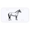 Personalized 3 X 6 Heavy Duty Acrylic / Plastic License Plate Thumbnail