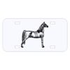 Personalized 3 X 6 Heavy Duty Acrylic / Plastic License Plate Thumbnail