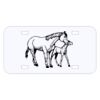 Personalized 3 X 6 Heavy Duty Acrylic / Plastic License Plate Thumbnail
