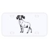 Personalized 3 X 6 Heavy Duty Acrylic / Plastic License Plate Thumbnail