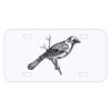 Personalized 3 X 6 Heavy Duty Acrylic / Plastic License Plate Thumbnail