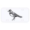 Personalized 3 X 6 Heavy Duty Acrylic / Plastic License Plate Thumbnail