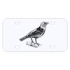Personalized 3 X 6 Heavy Duty Acrylic / Plastic License Plate Thumbnail