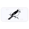 Personalized 3 X 6 Heavy Duty Acrylic / Plastic License Plate Thumbnail