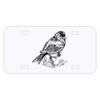 Personalized 3 X 6 Heavy Duty Acrylic / Plastic License Plate Thumbnail