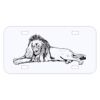 Personalized 3 X 6 Heavy Duty Acrylic / Plastic License Plate Thumbnail
