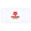 Personalized 3 X 6 Heavy Duty Plastic License Plate Thumbnail