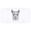 Personalized 3 X 6 Heavy Duty Plastic License Plate Thumbnail