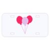 Personalized 3 X 6 Heavy Duty Acrylic / Plastic License Plate Thumbnail