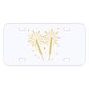 Personalized 3 X 6 Heavy Duty Acrylic / Plastic License Plate Thumbnail