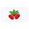 Personalized 3 X 6 Heavy Duty Acrylic / Plastic License Plate Thumbnail