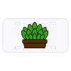 Personalized 3 X 6 Heavy Duty Acrylic / Plastic License Plate Thumbnail