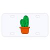 Personalized 3 X 6 Heavy Duty Acrylic / Plastic License Plate Thumbnail