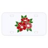 Personalized 3 X 6 Heavy Duty Acrylic / Plastic License Plate Thumbnail