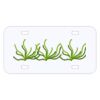 Personalized 3 X 6 Heavy Duty Acrylic / Plastic License Plate Thumbnail